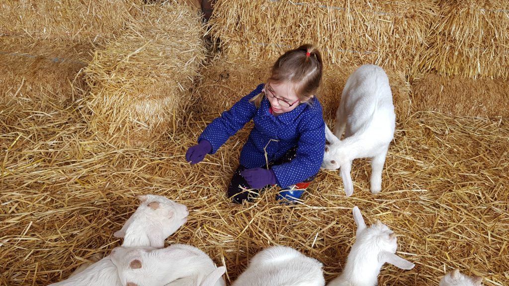 meisje kind voert lammetjes boerderij boerin boer stro hooi voeen