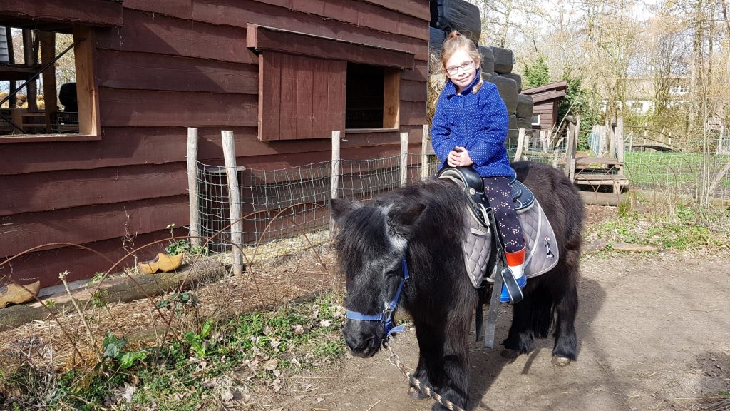 paardrijden meisje op een paard pony ponyrijden boerderij het geertje