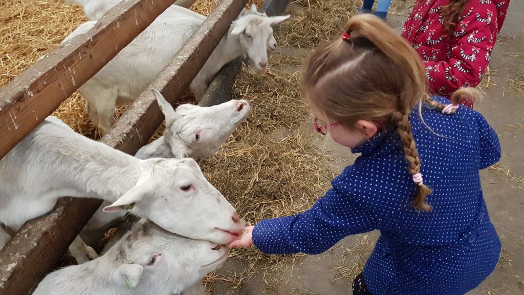 boerderij het geertje