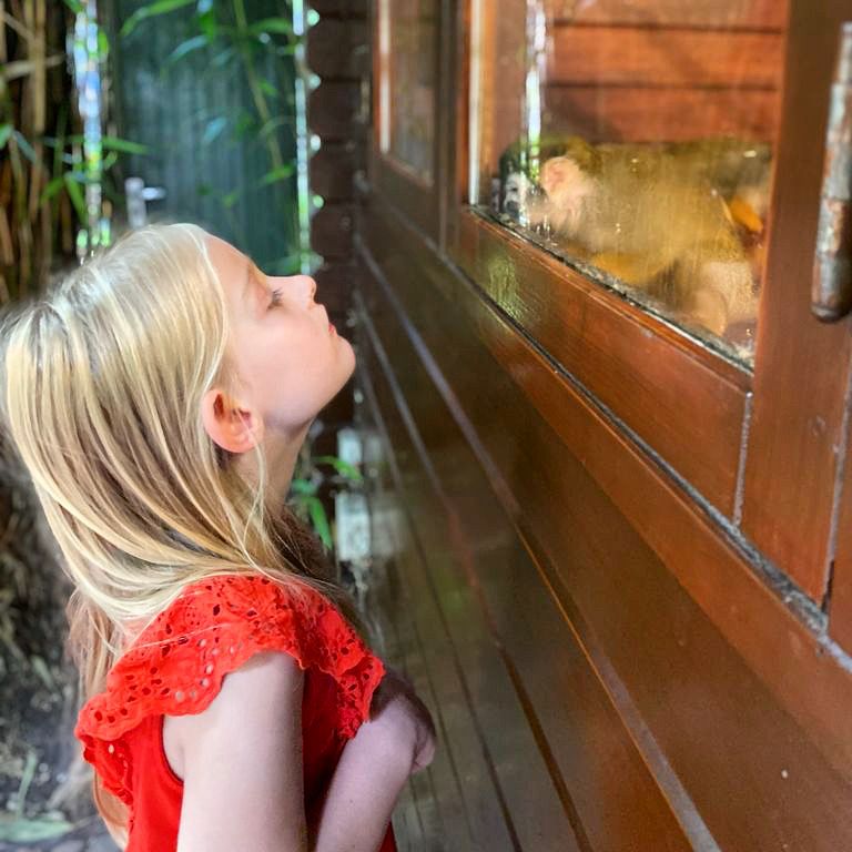 dierenpark de oliemeulen meisje met aapje doodshoofdaapje