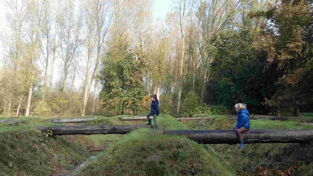 spelen in natuurspeeltuin 