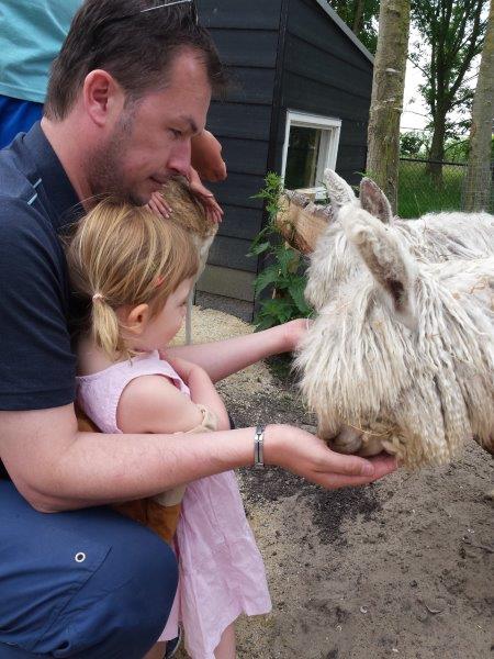 Landgoed Hoenderdaell meisje en vader papa kind voeren lama paard pony