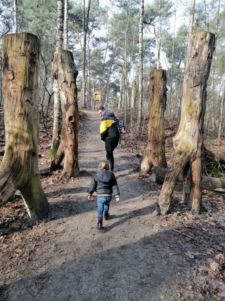 bomen bos wandelen kind met vader