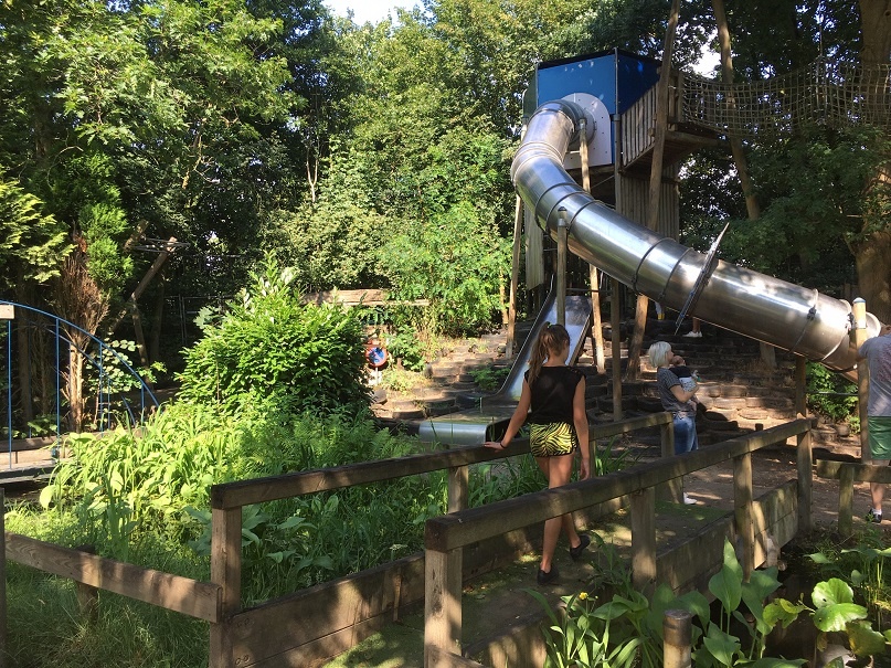 kwekkeltje speeltuin in bos met glijbaan