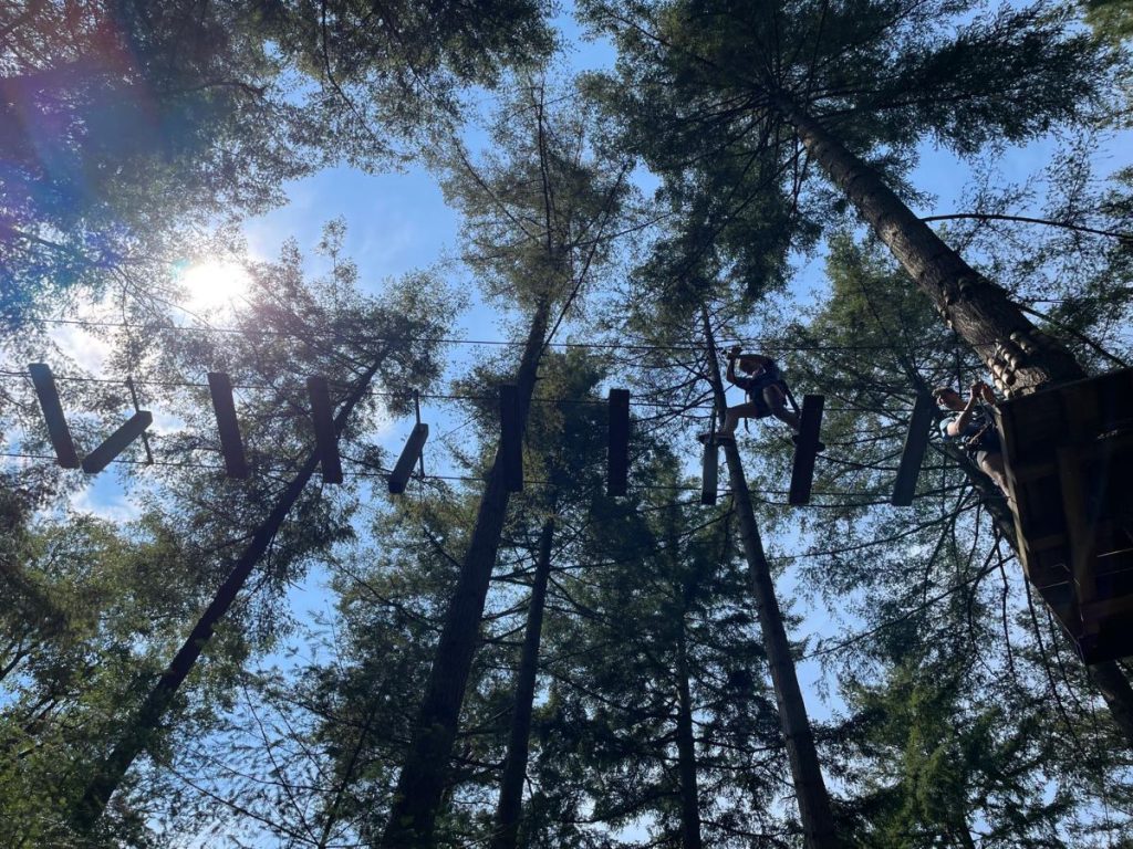 klimbos ruurlo blauwe lucht bomen