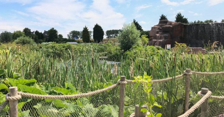 Dino Experience Park – een kinderuitje met Jurassic Golf