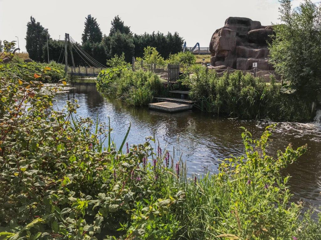 Dino Experience Park landschap water natuur