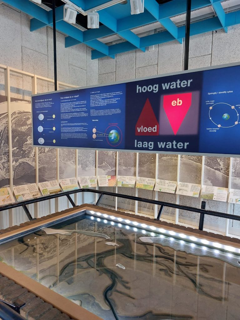 natuurmuseum educatieve uitstapjes Terschelling