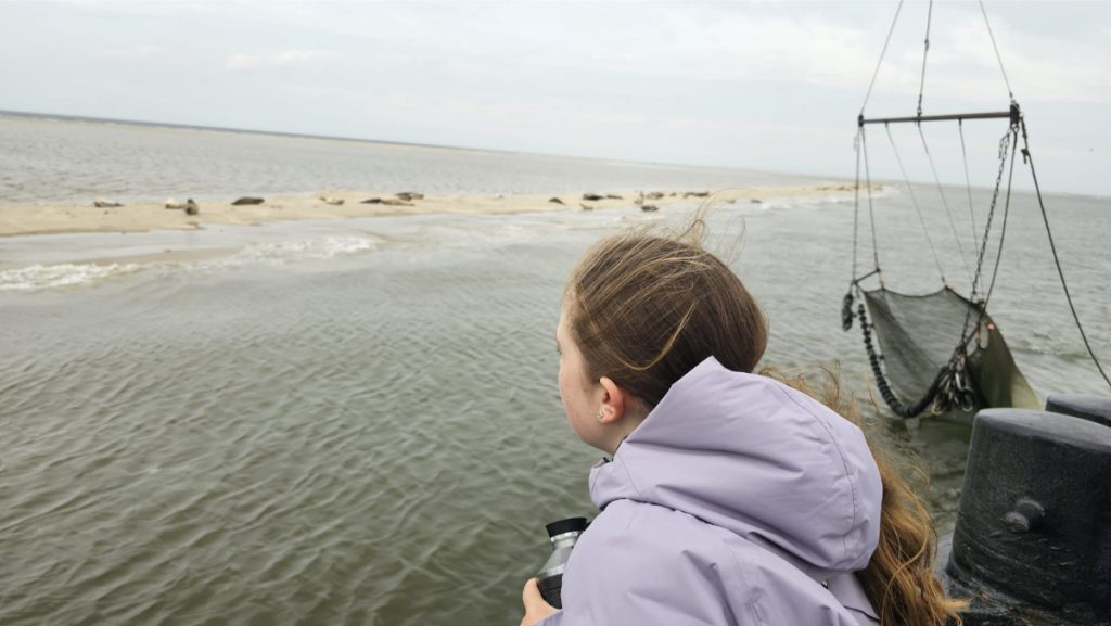 zeehonden spotten educatieve uitstapjes Terschelling